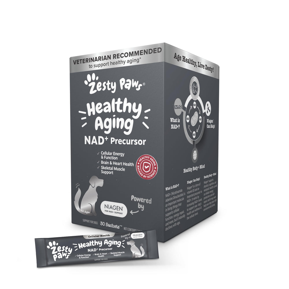 Zesty Paws NAD+ Precursor bottle and sachets for easy daily dog supplementation