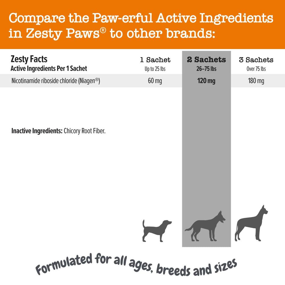 Energy-boost visual suggesting metabolic energy benefits for dogs