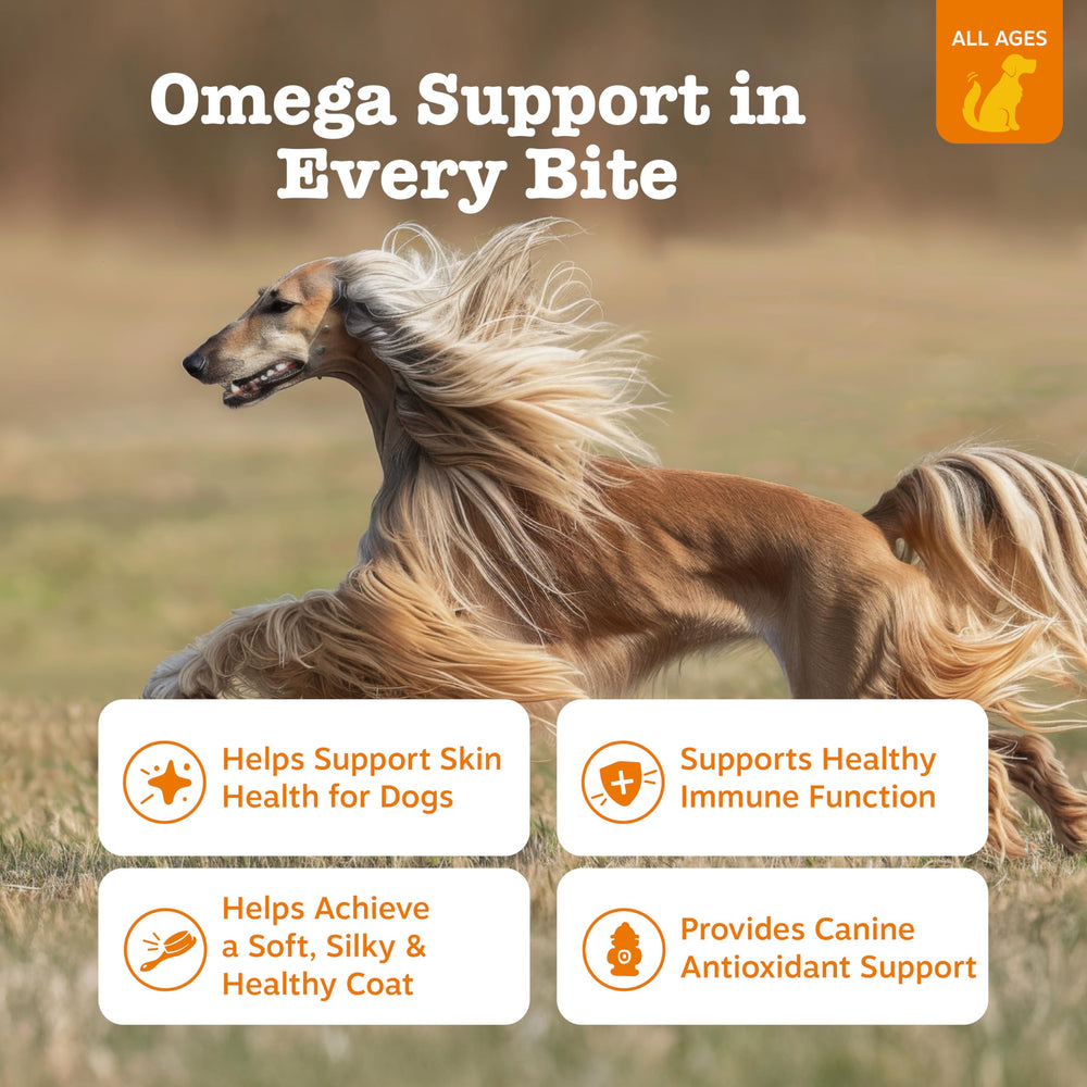 Zesty Paws Omega-3 chews poured from bottle for daily convenience.