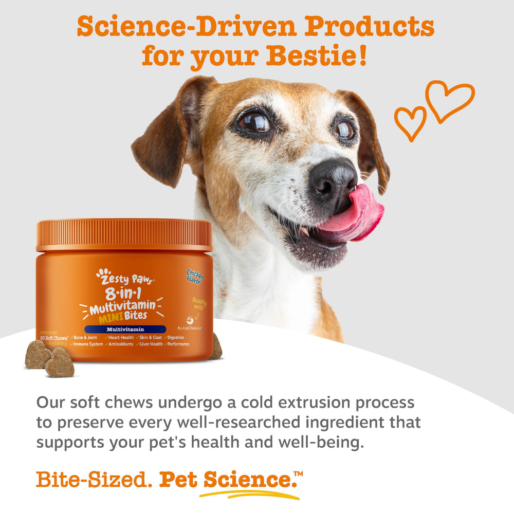 Zesty Paws omega-3 fish oil for dogs supports coat health and overall wellness.