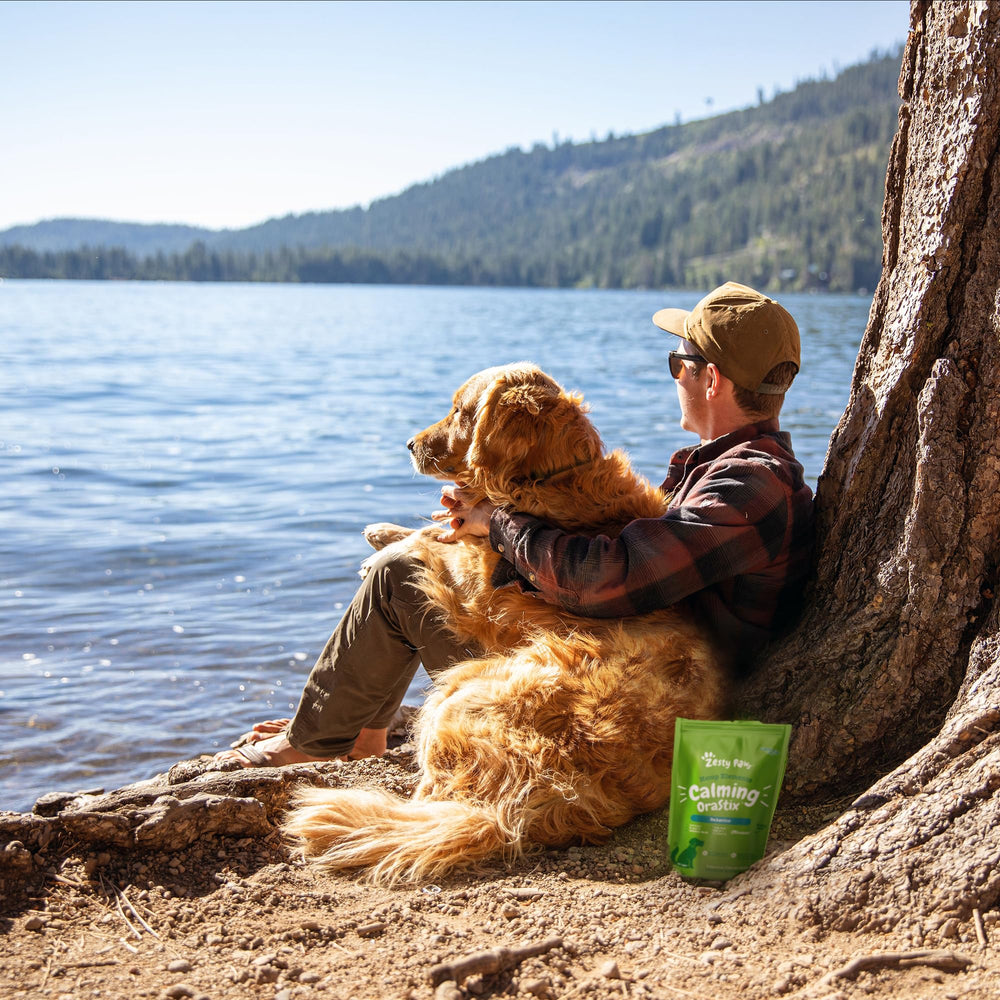Dog remains calmer during fireworks with OraStix nearby for stress support.