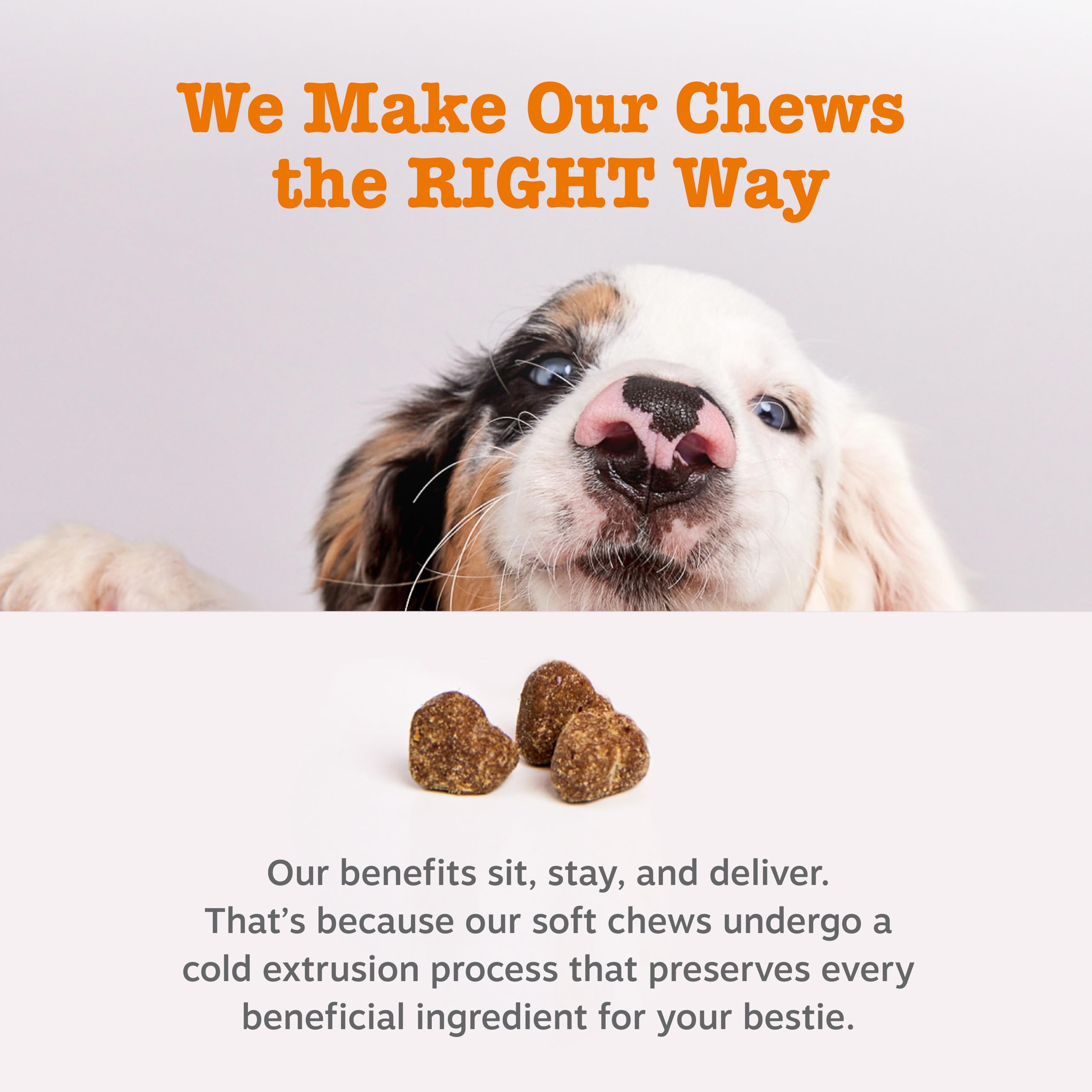 Zesty Paws Probiotic Bowel Support imagery suggests immune-friendly daily care.