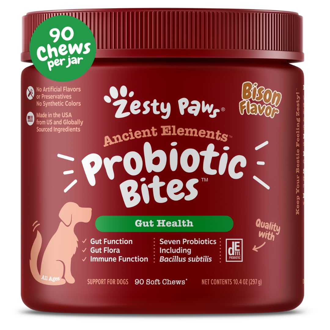 Zesty Paws Probiotics for Dogs jar close-up highlighting daily gut support
