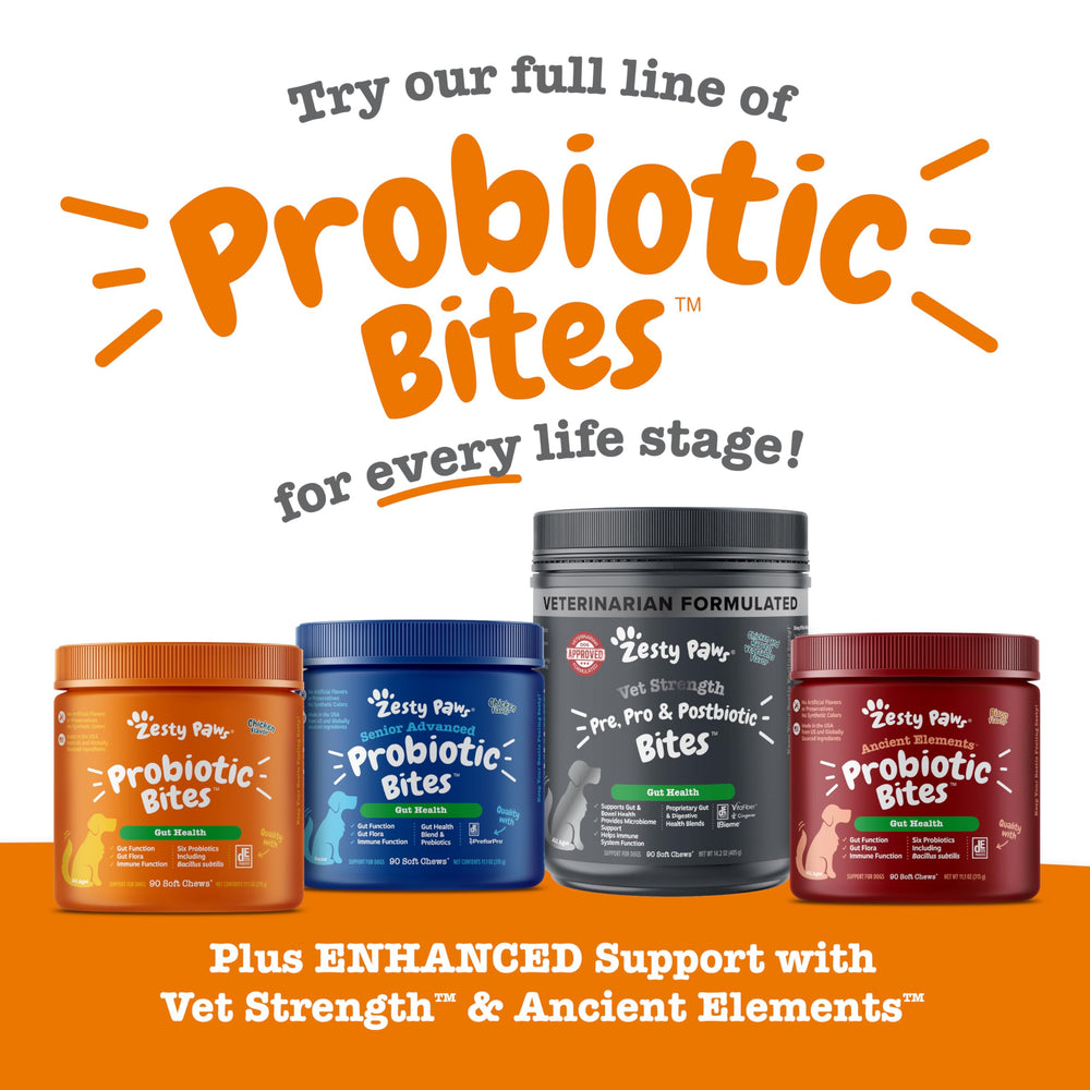 Zesty Paws immune-boost chews with Lactobillus and DE111 for immune-friendly support