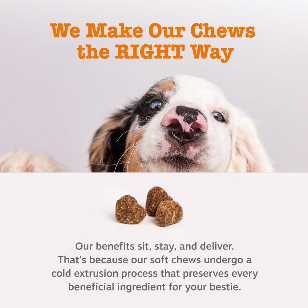 Zesty Paws dog chew images illustrating overall wellness and immune support potential