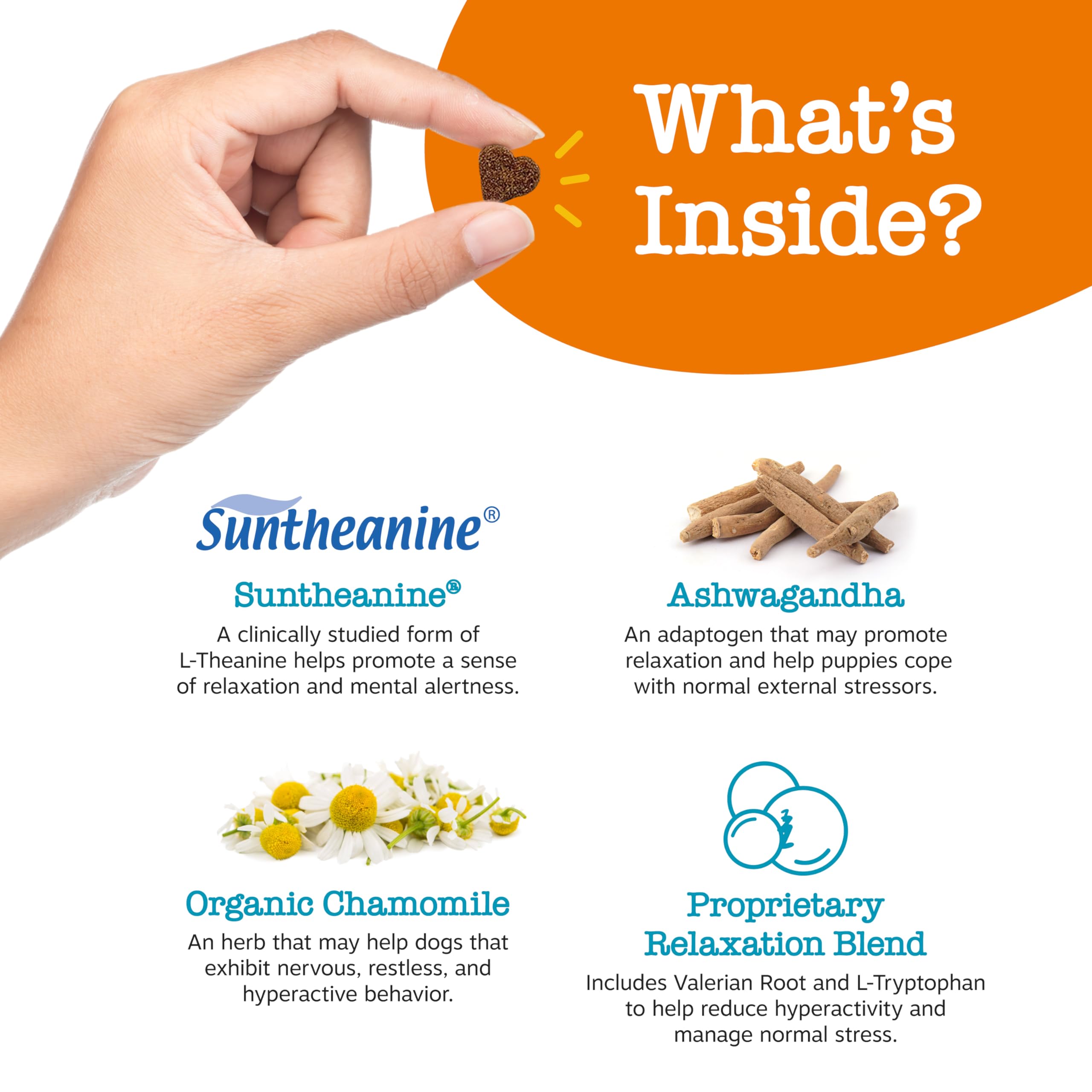 Zesty Paws calming bites ingredients blend panel featuring chamomile and magnesium for gentle relaxation.