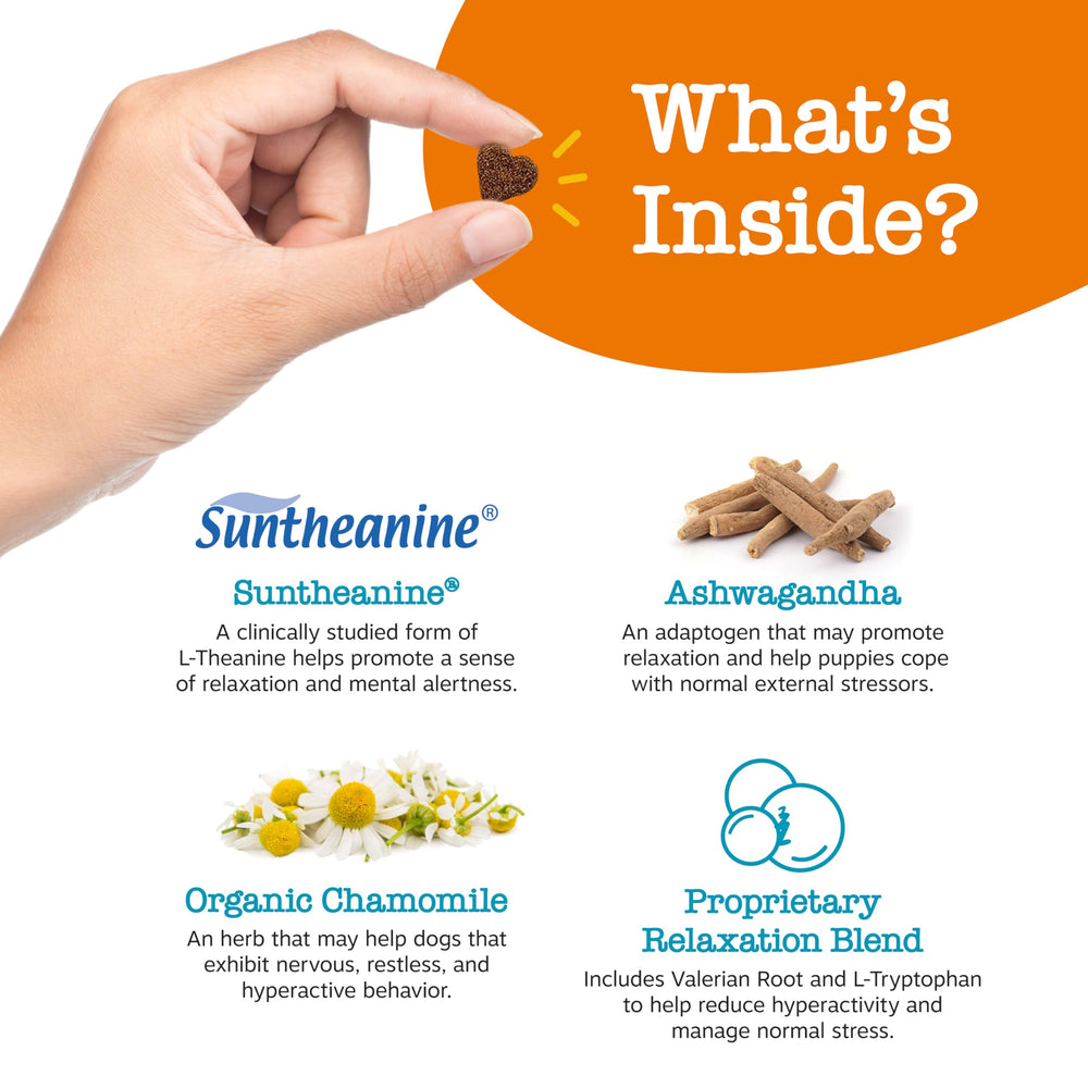 Zesty Paws calming bites ingredients blend panel featuring chamomile and magnesium for gentle relaxation.