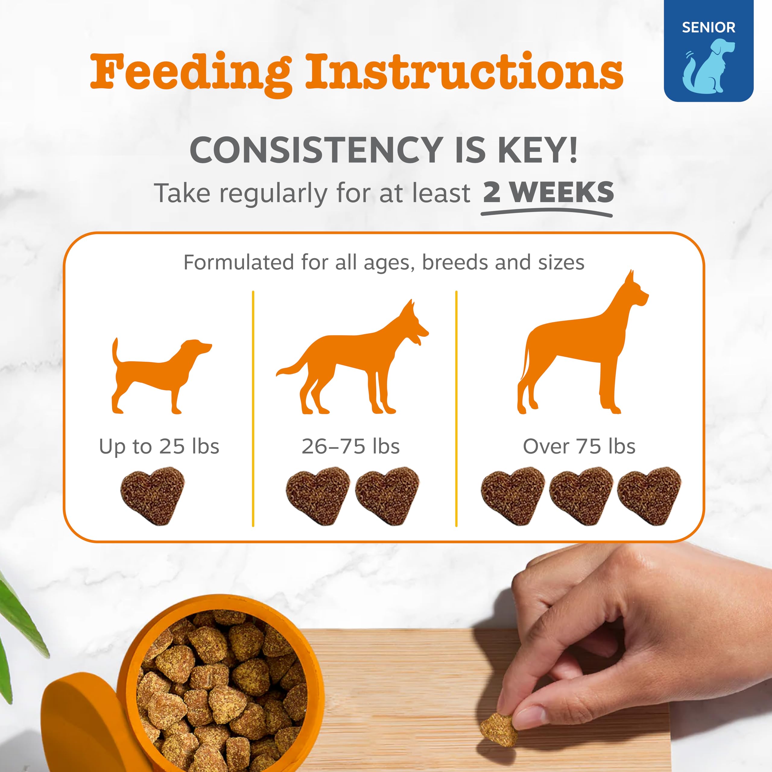 Zesty Paws quercetin vitamin c yucca blend close-up emphasizing holistic allergy relief.