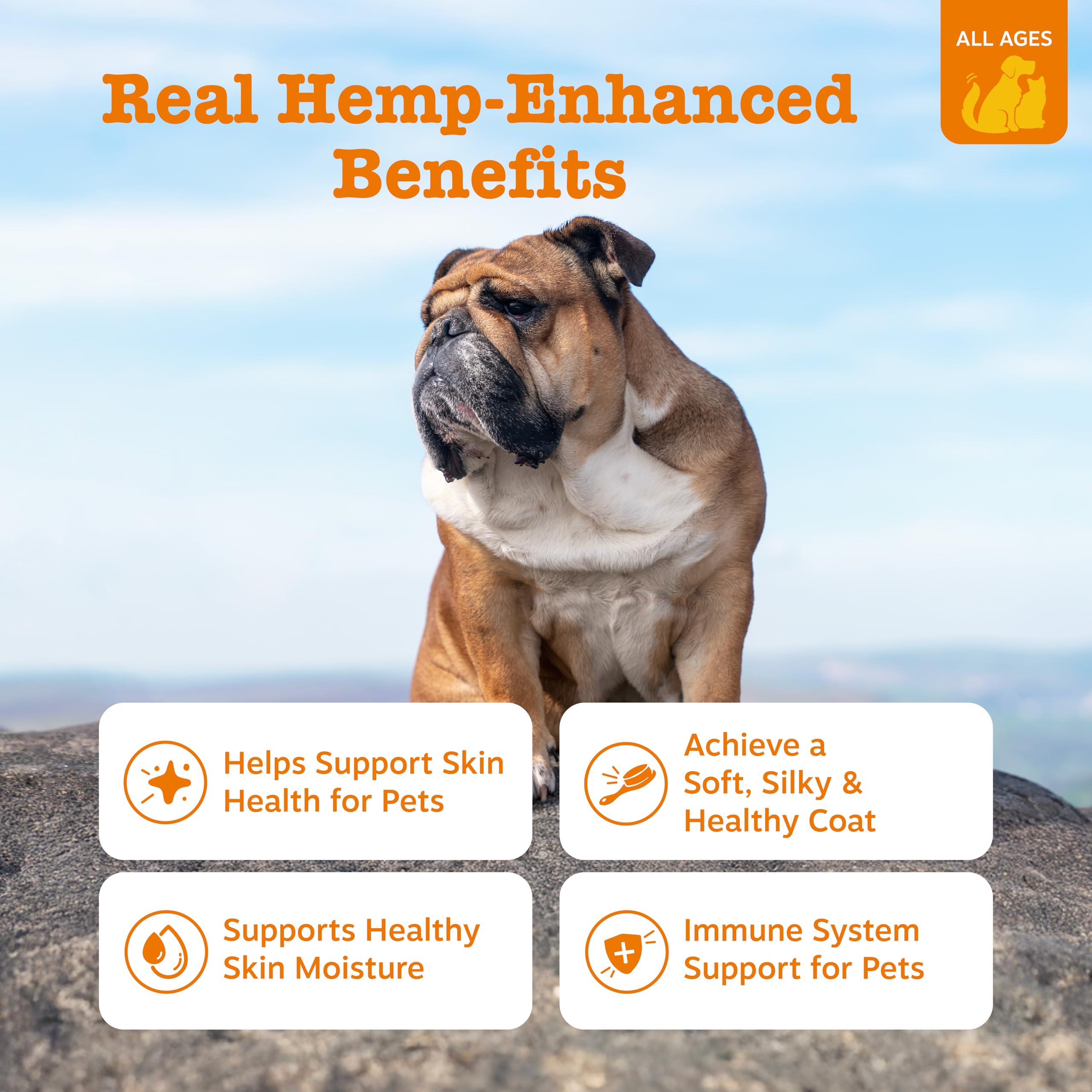 Zesty Paws Salmon Omega Oil Hemp serving on food shows simple meal integration