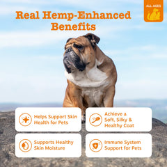 Zesty Paws Salmon Omega Oil Hemp serving on food shows simple meal integration