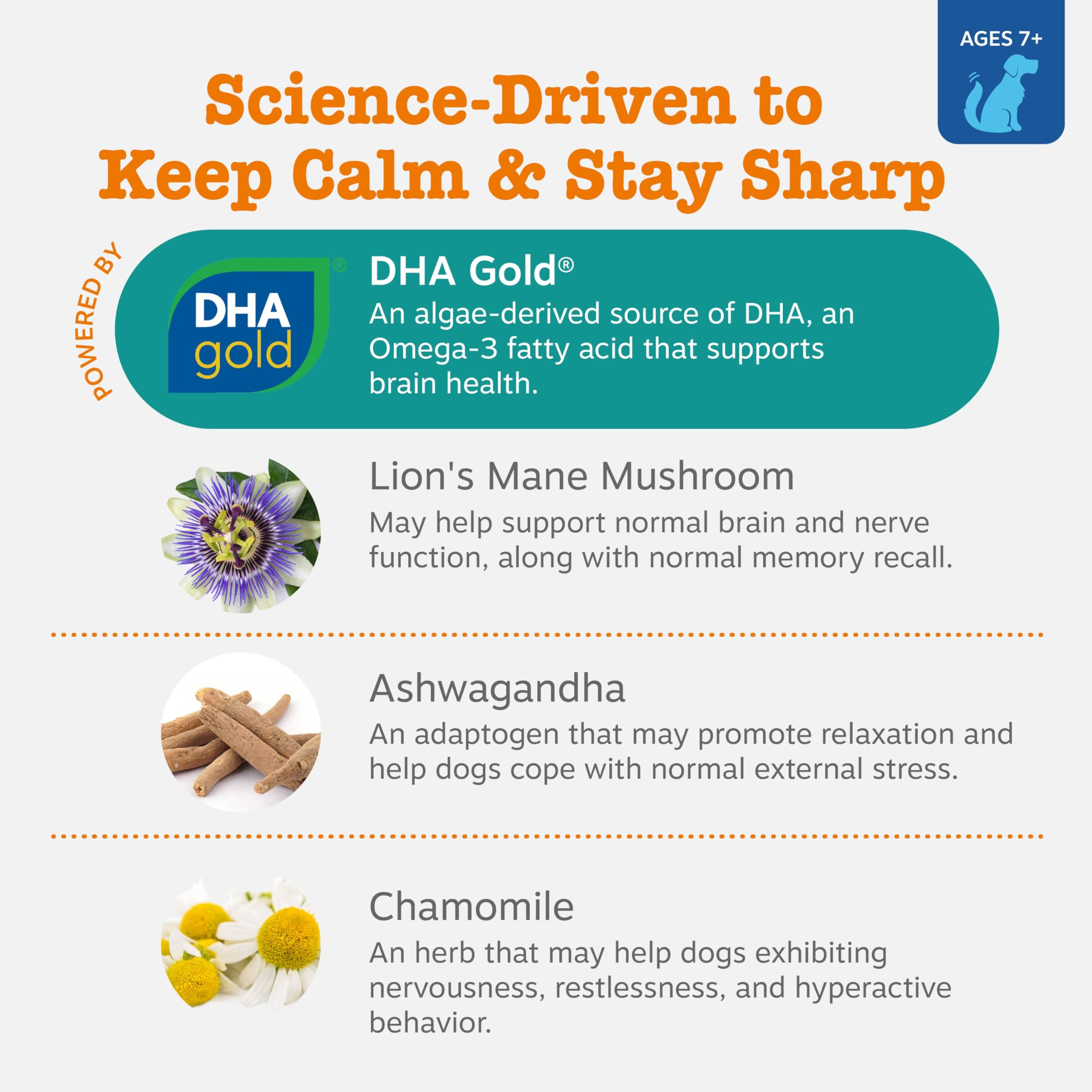 Zesty Paws Senior Advanced Calming Chews in hand show tasty senior cognitive support.