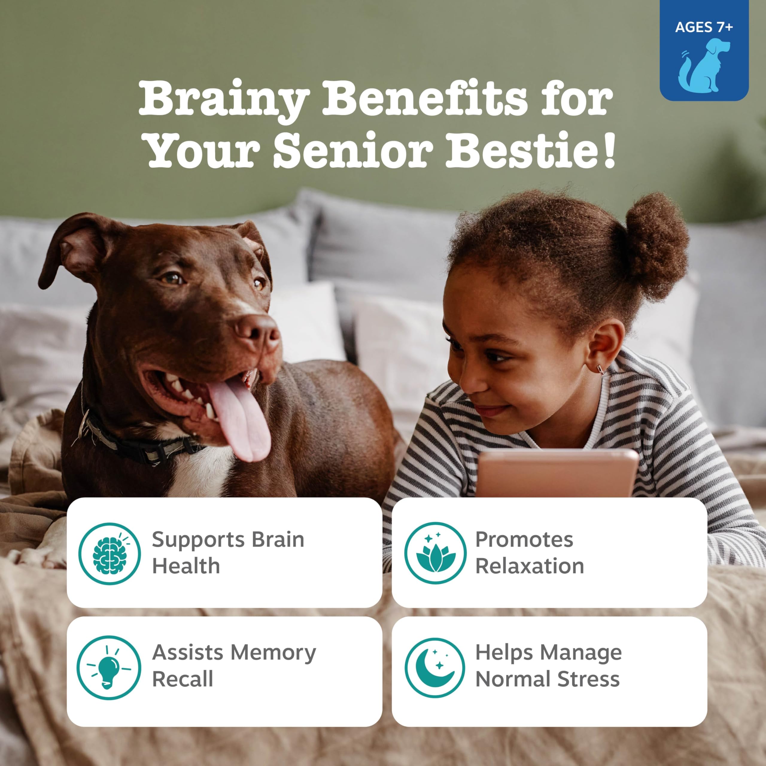 Zesty Paws Senior Advanced Calming Cognition label highlights DHA and calming ingredients.