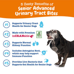 Zesty Paws cranberry supplement chews closeup highlight a tasty dog treat with urinary benefits