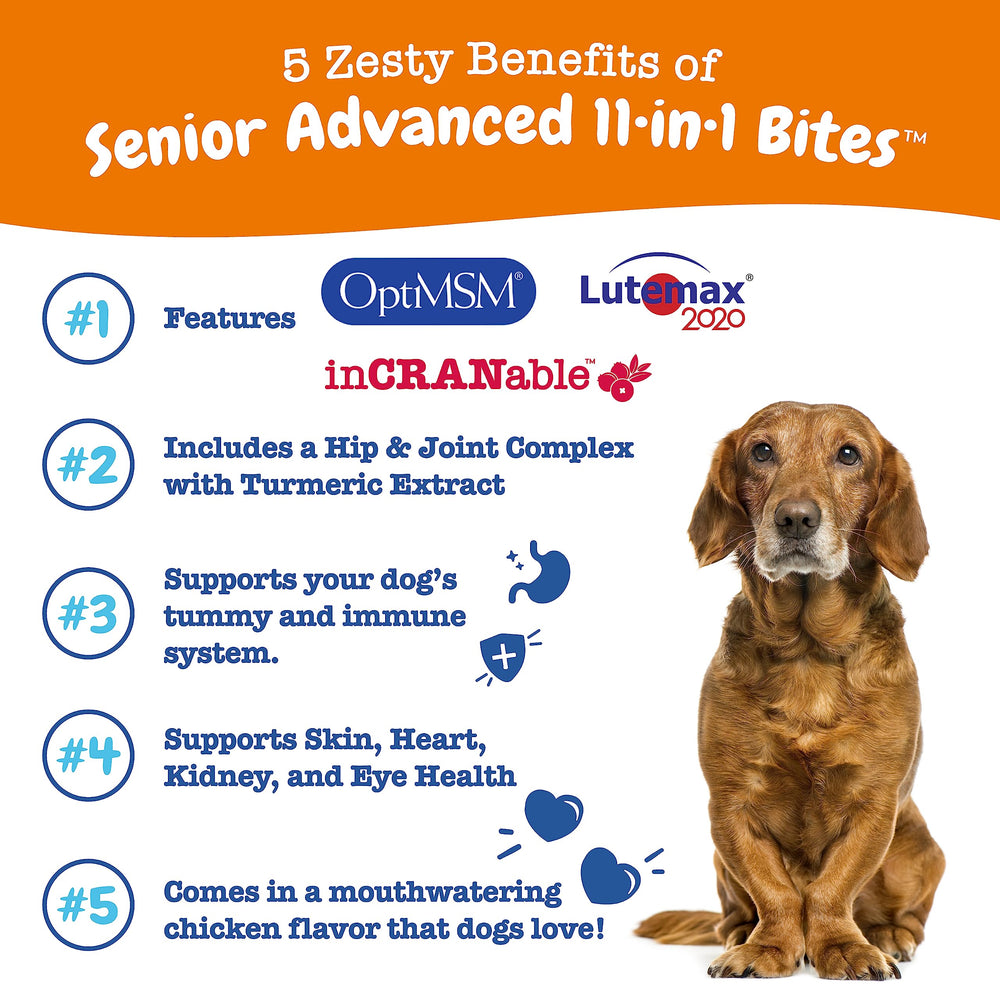Zesty Paws senior multivitamin chews shown as tasty daily treats