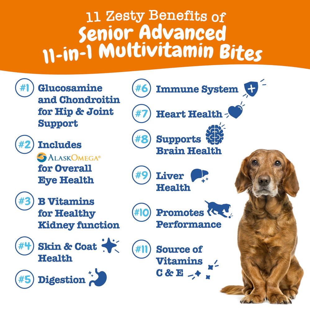 Zesty Paws Senior Dog Multivitamin Treats soft treats closeup daily vitality support
