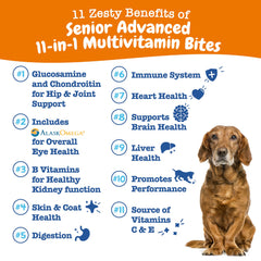 Zesty Paws Senior Dog Multivitamin Treats soft treats closeup daily vitality support