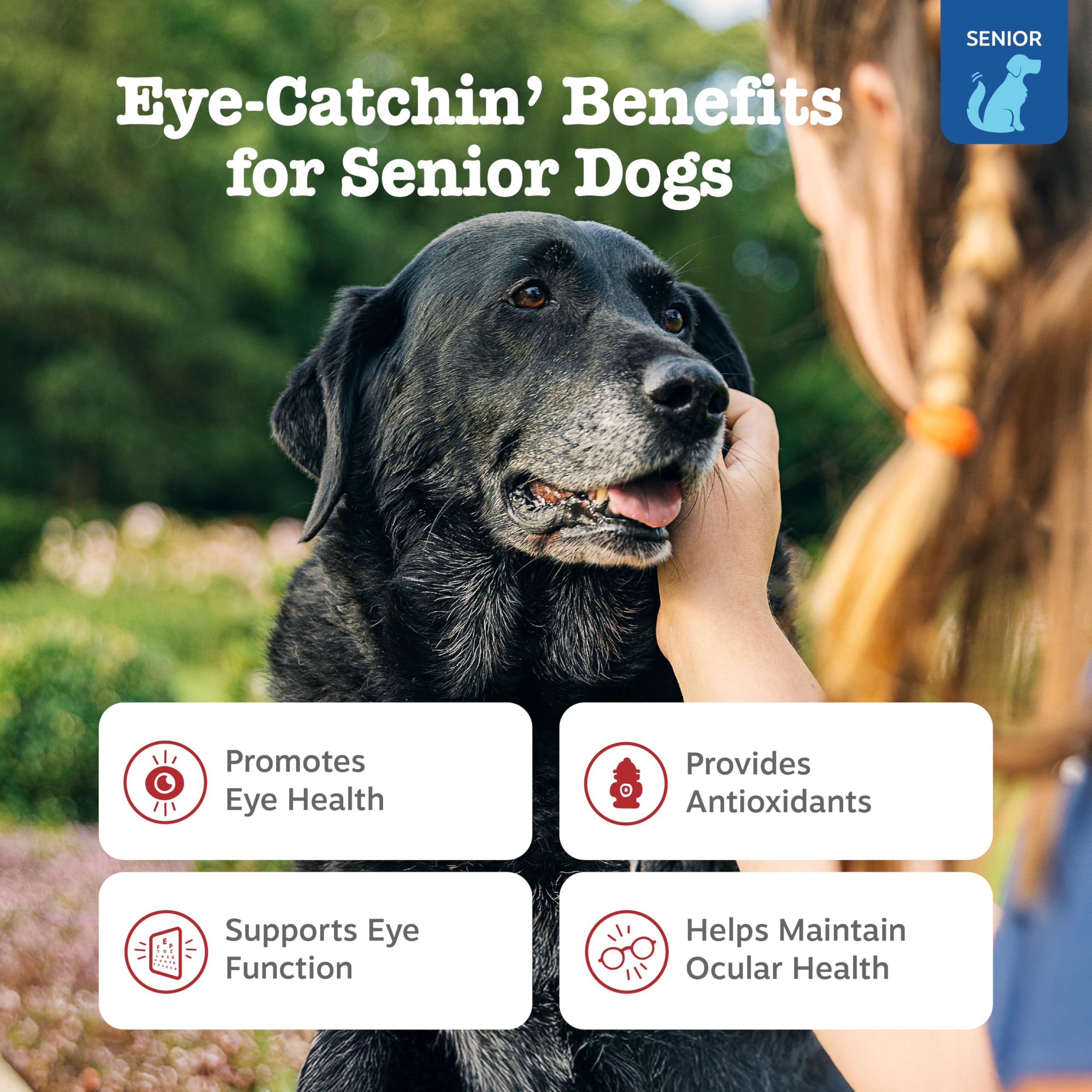 Zesty Paws Senior Vision Bites with Lutemax 2020 for eye function.