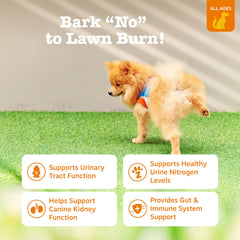 Zesty Paws Stay Green Bites on grass highlights lawn burn reduction potential for dog owners.