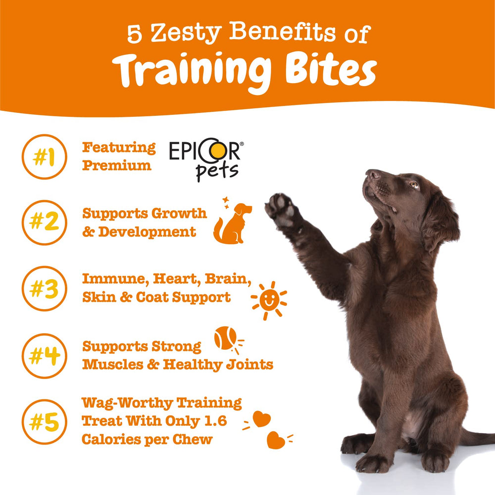Zesty Paws Training Treats puppy training session image promotes positive behavior with PB flavor.