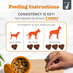 Zesty Paws Vet Strength EpiCor Pets ingredient icon in product design.