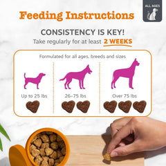 Zesty Paws Vet Strength Mobility Bites dog in motion showcasing mobility support.