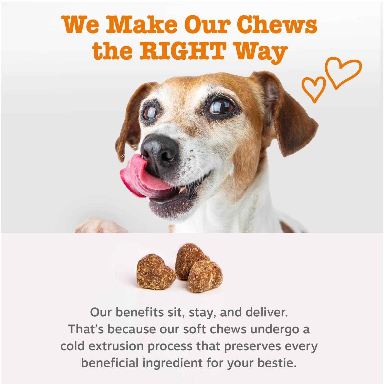 Zesty Paws Vet Strength probiotics bottle label highlighting Lactobacillus acidophilus.