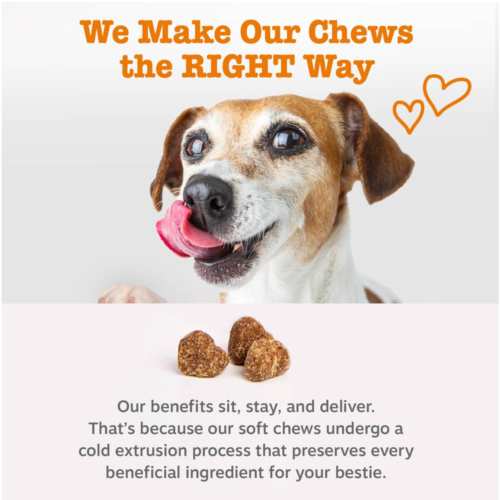Zesty Paws Vet Strength probiotics bottle label highlighting Lactobacillus acidophilus.