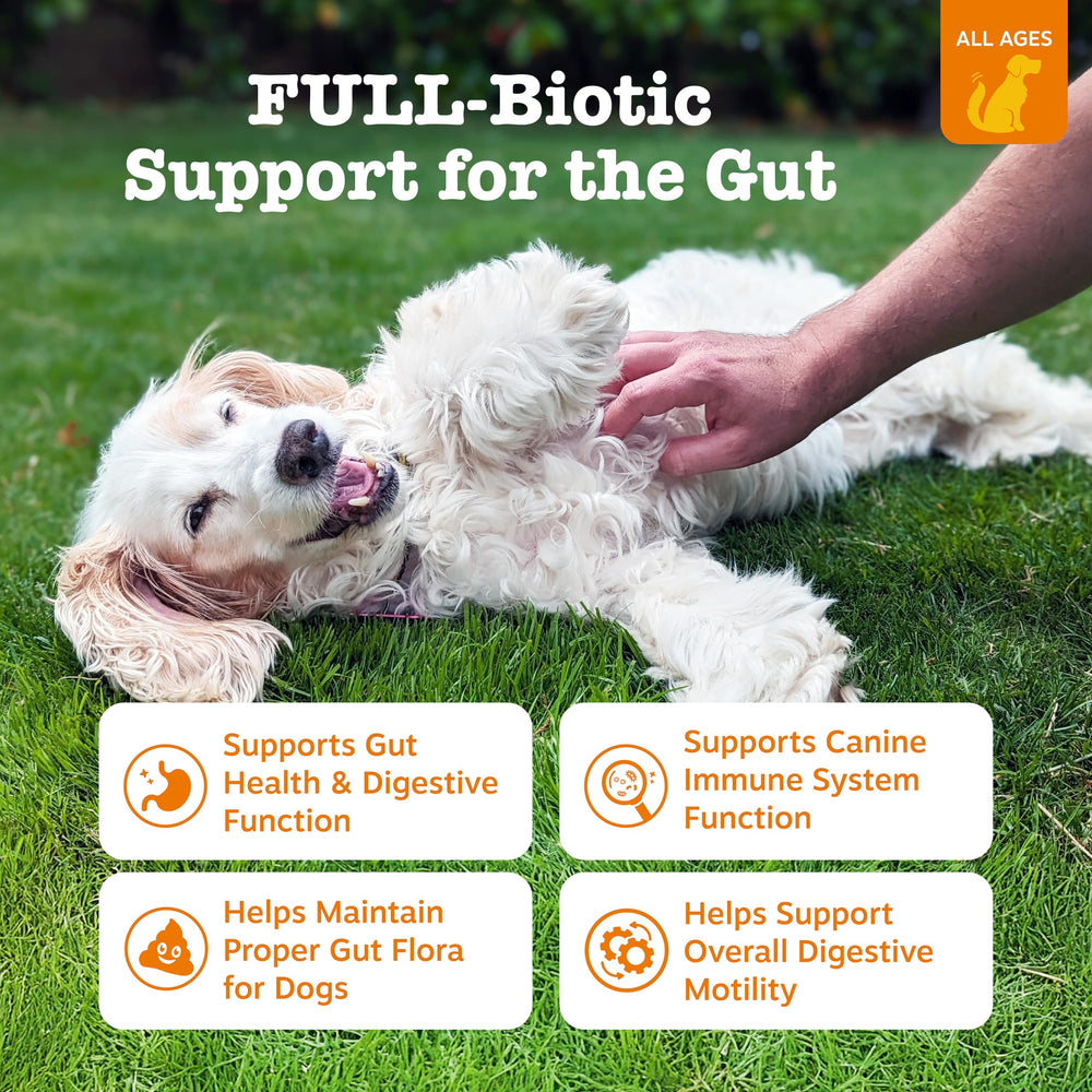 Zesty Paws Vet Strength probiotic chews close-up highlighting tasty flavor.