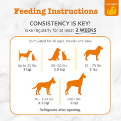 Zesty Paws coat-nourishment visual highlighting healthy skin and coat