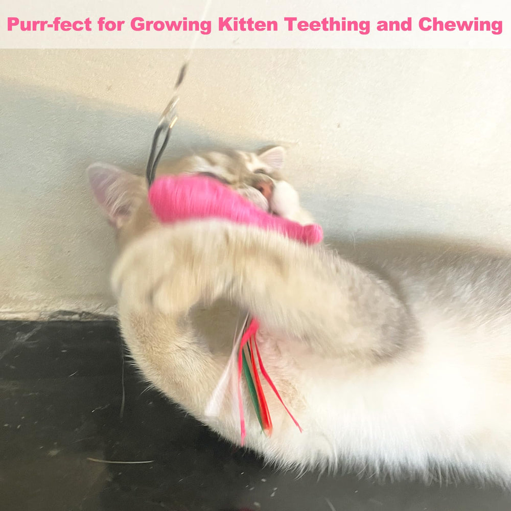 ZeyZoo cat wand teaser attachment with plush fish toy ready for interaction.