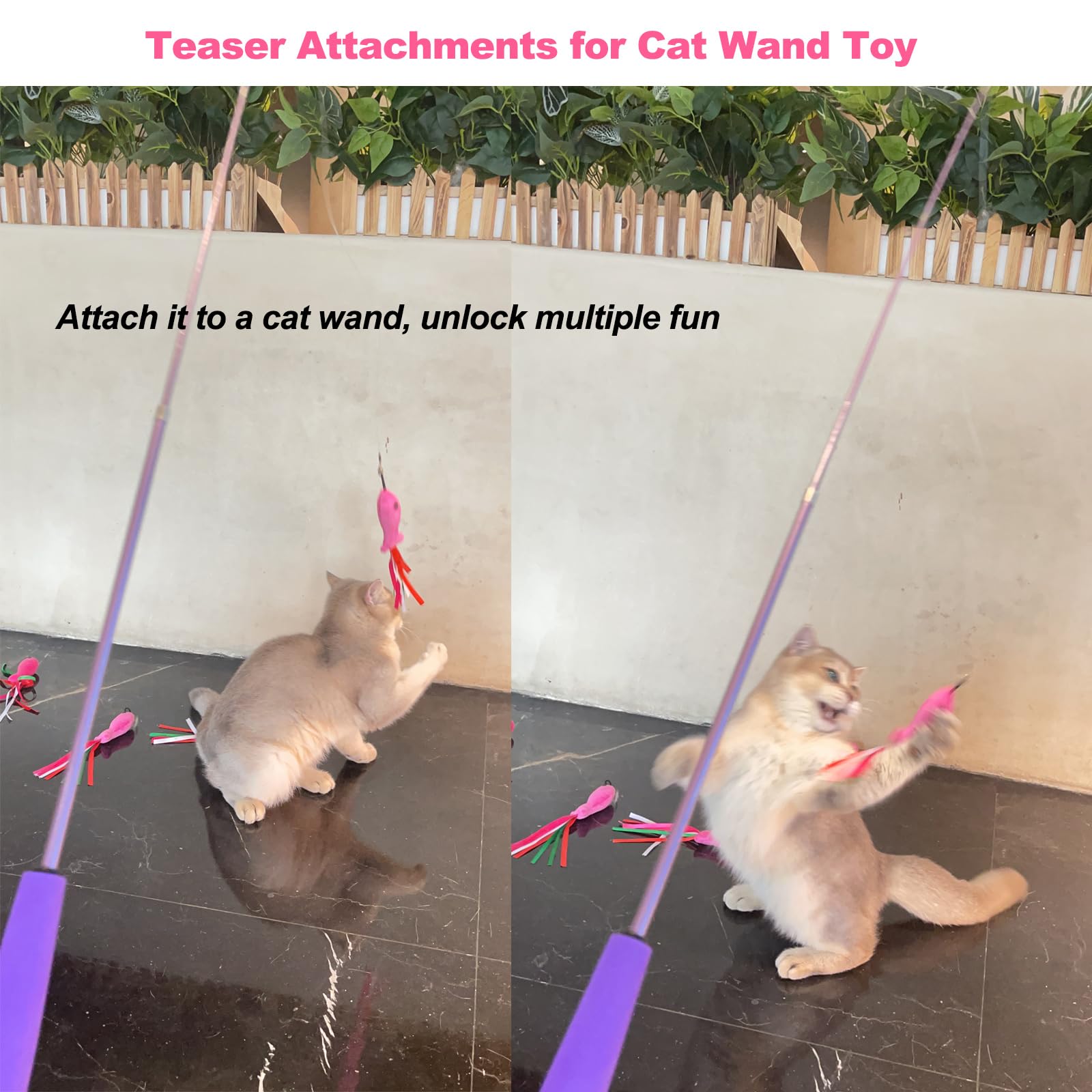 ZeyZoo pink fish toy during play demonstrates solo activity and hunting instinct.