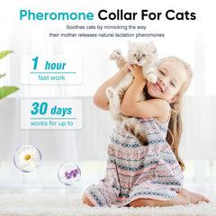 ZHANGK Calming Collar worn by cat to ease nerves during daily activities.