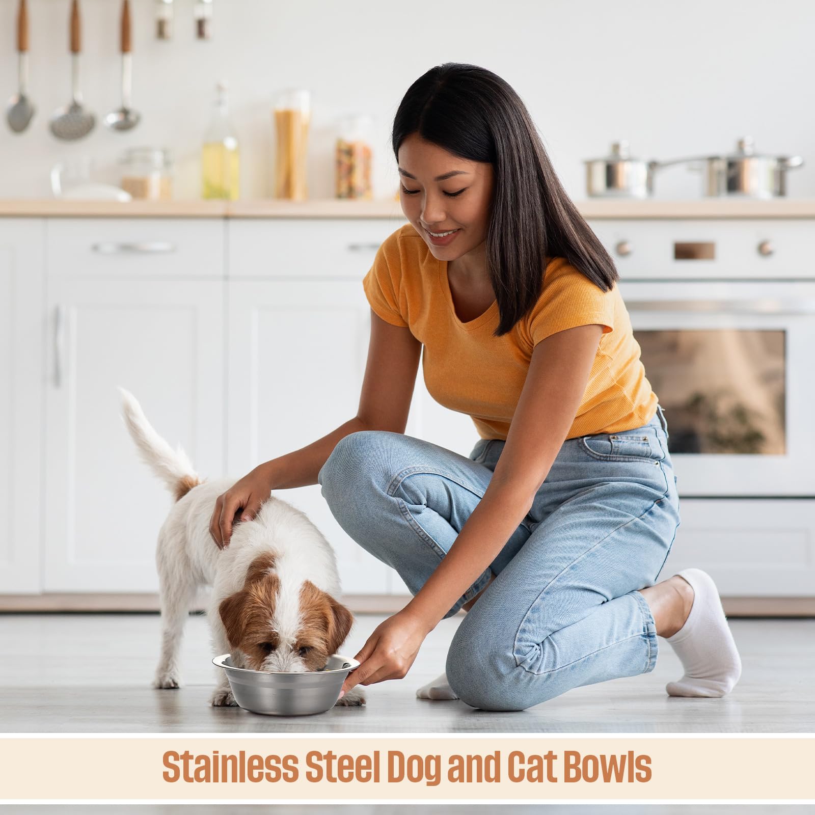 Zhehao multi-pet bowls suit dogs, cats, and small animals