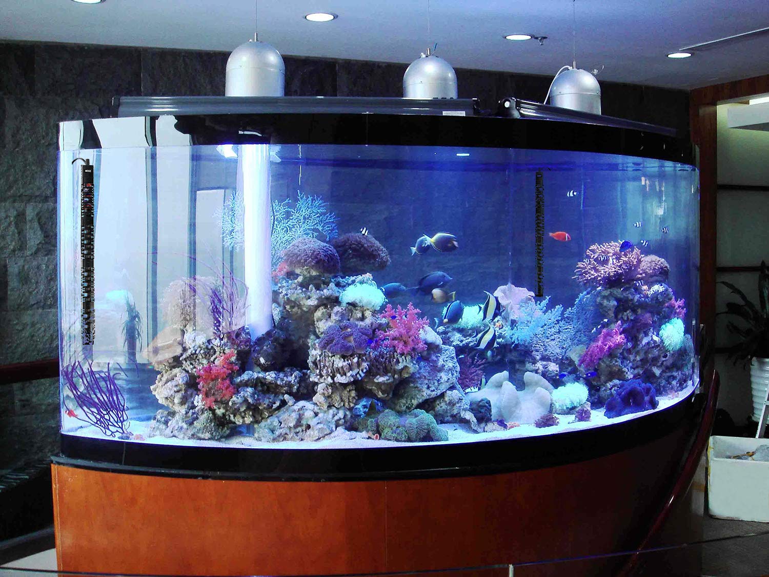 ZHGSERVU aquarium heater 30-60gal tank setup with 300W model for stable warmth