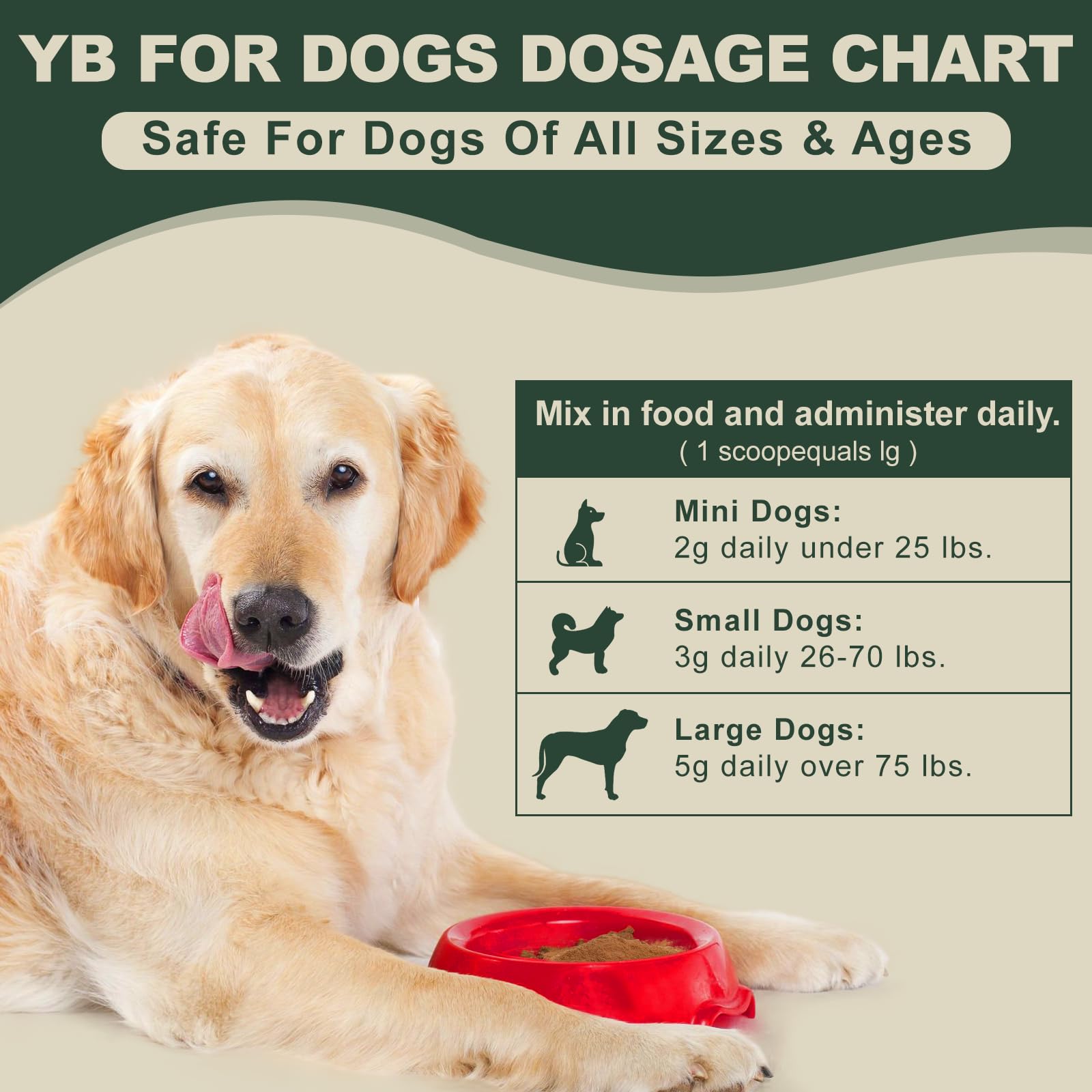 Happy healthy-looking dog after using Zhizaiql formula.