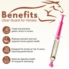 Zhizaiql horse ulcer prevention scene shows calm, focused performance