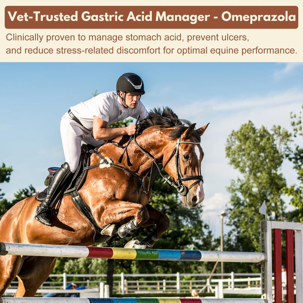 Zhizaiql pre-filled syringe enables accurate dosing for busy owners