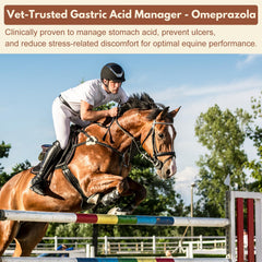 Zhizaiql pre-filled syringe enables accurate dosing for busy owners