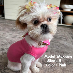 ZhuPolly puppy wearing shirt during outdoor strolls for comfort