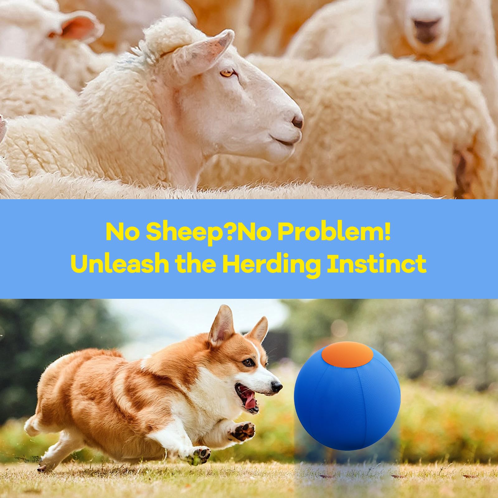 ZIDA herding-ball strengthens bonds through guided training and coordination