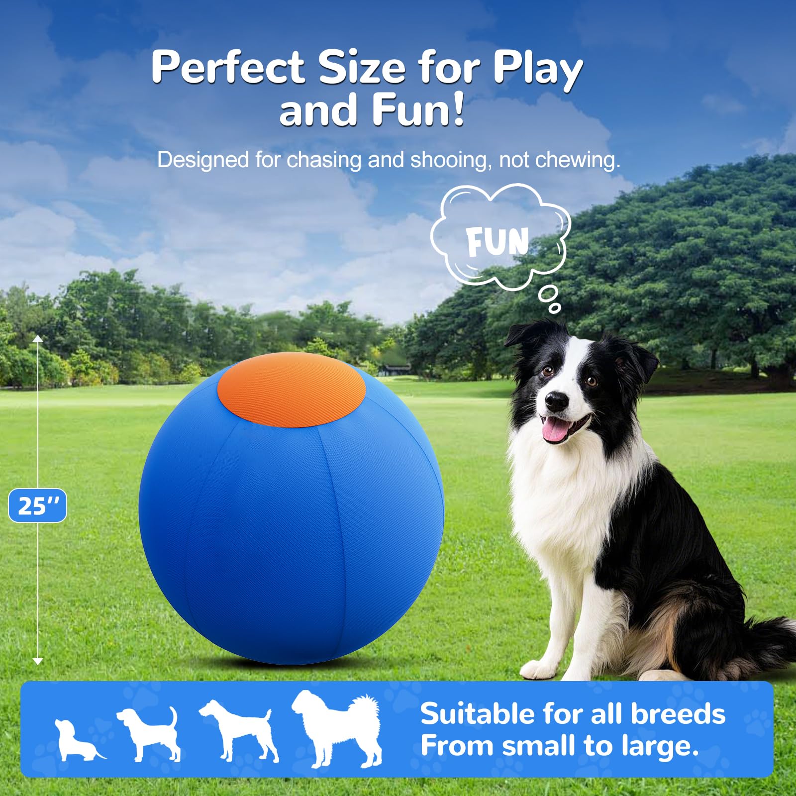 ZIDA high-visibility blue-orange colors boost canine engagement during exercise