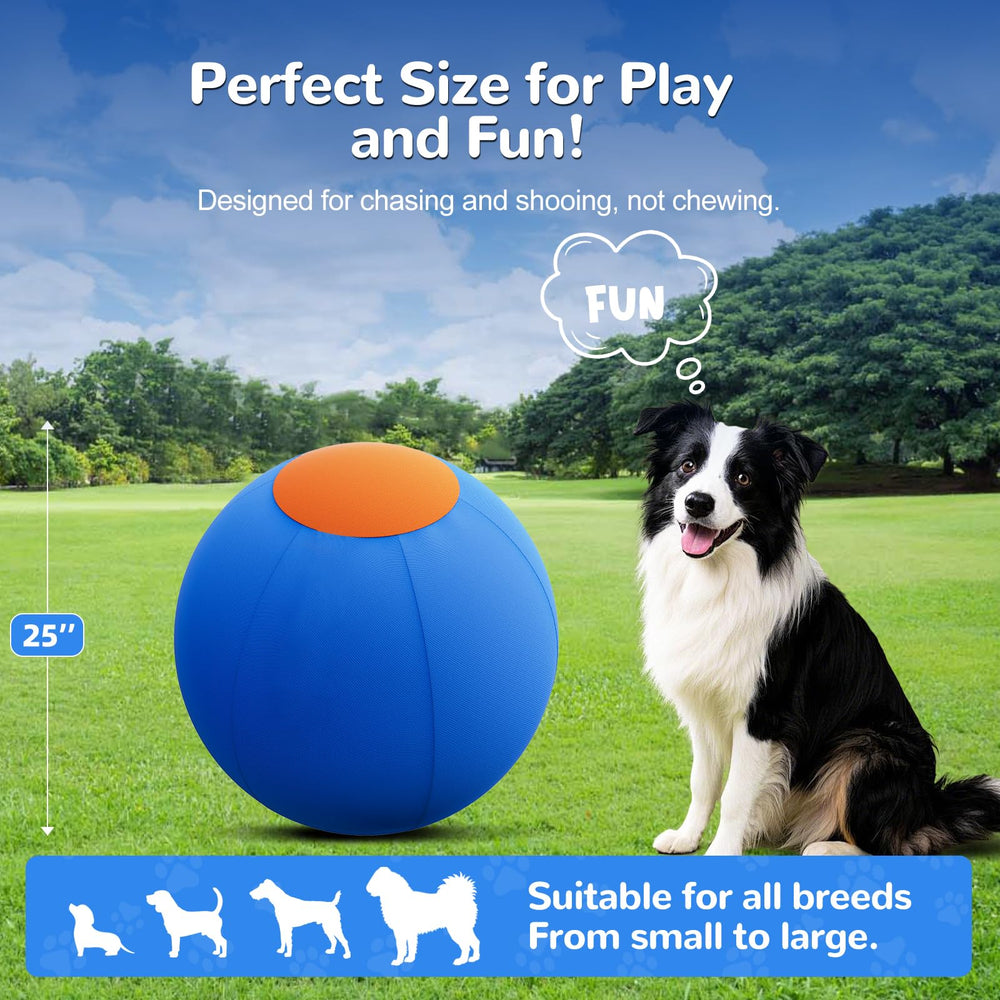 ZIDA high-visibility blue-orange colors boost canine engagement during exercise