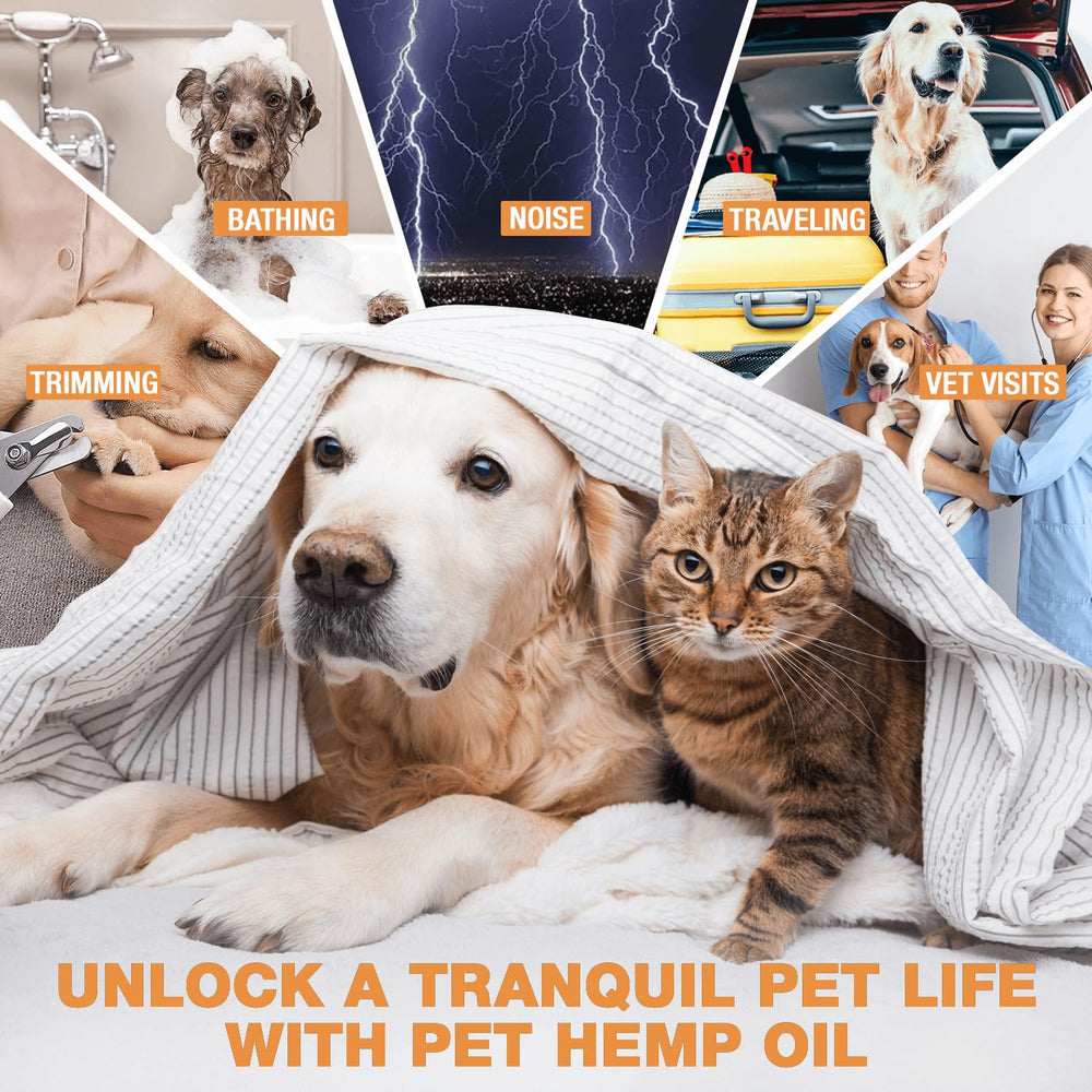 ziehoo-ge hemp oil for dogs and cats dropper enables easy, precise dosing at mealtimes.