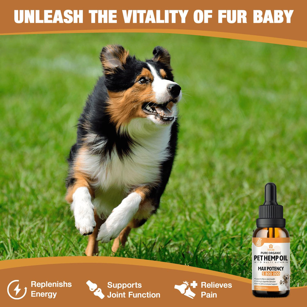 ziehoo-ge organic hemp pet calming drops label communicates quality and safety for pets.