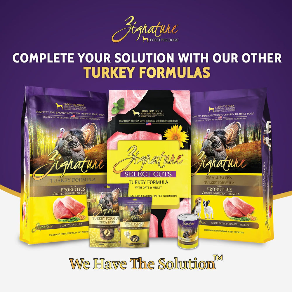 Zignature Turkey Formula served in a bowl, showcasing appealing texture for poultry-loving dogs.