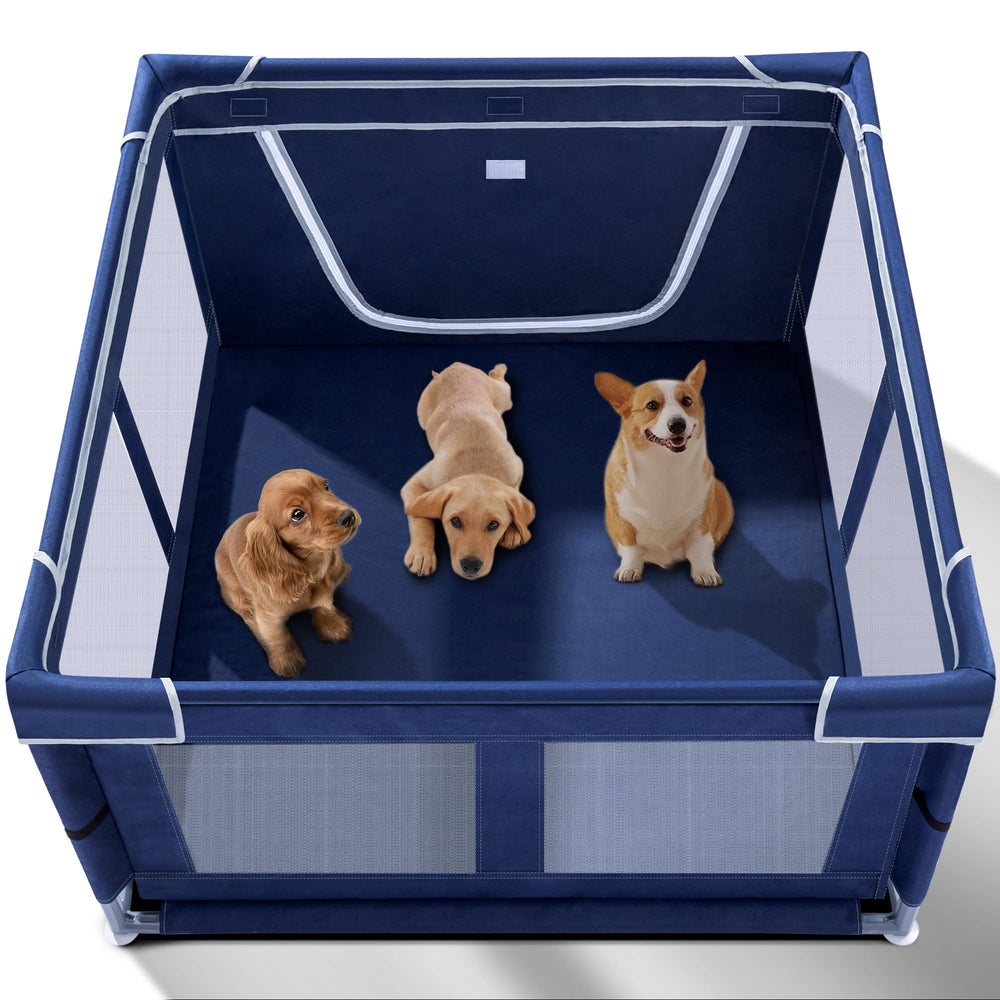 Zikopomi puppy playpen interior view showing the rectangular frame for safe indoor containment.