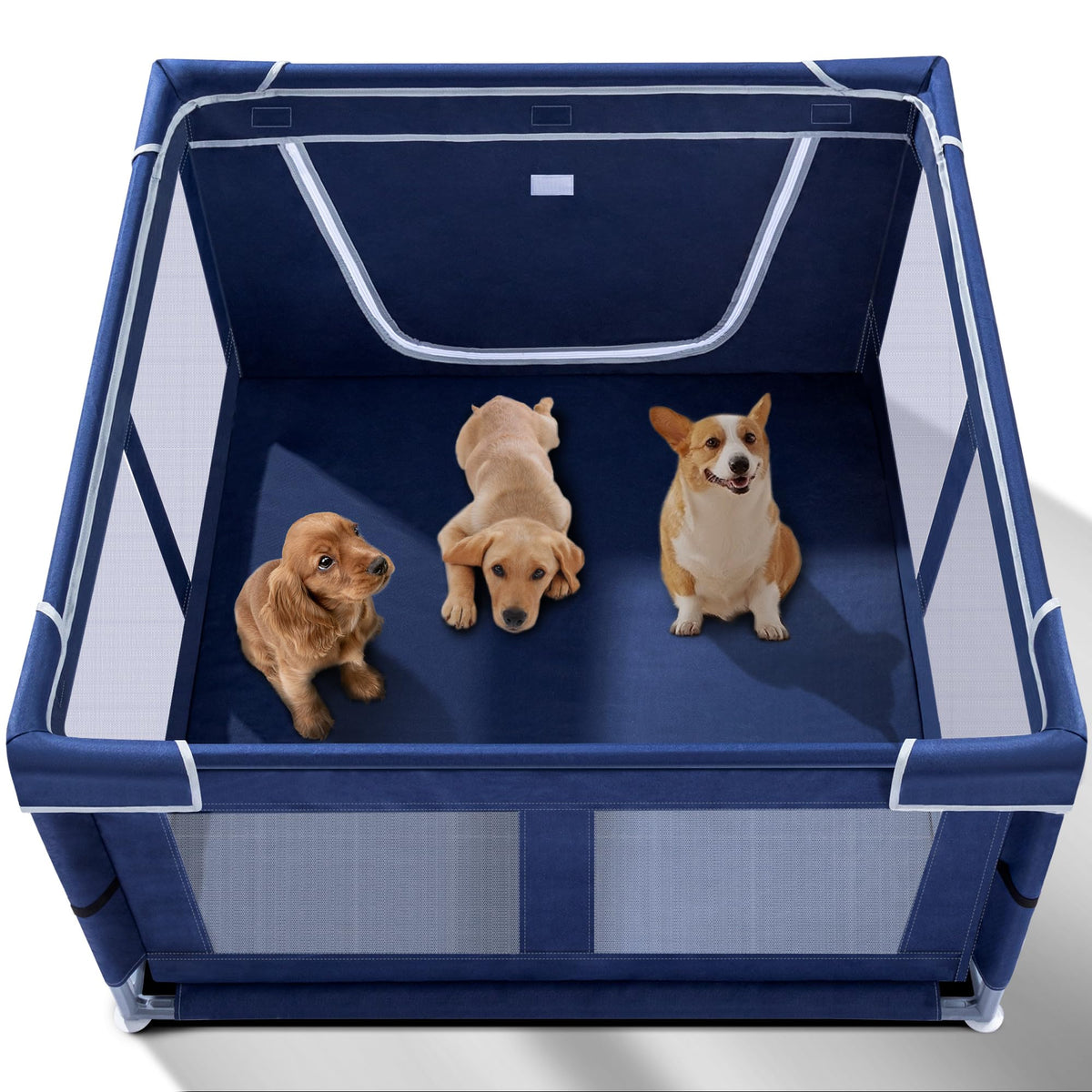 Zikopomi puppy playpen interior view showing the rectangular frame for safe indoor containment.
