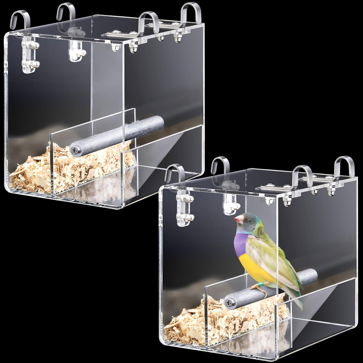 Ziliny automatic bird feeder shows visiting birds clearly for close-up observation.
