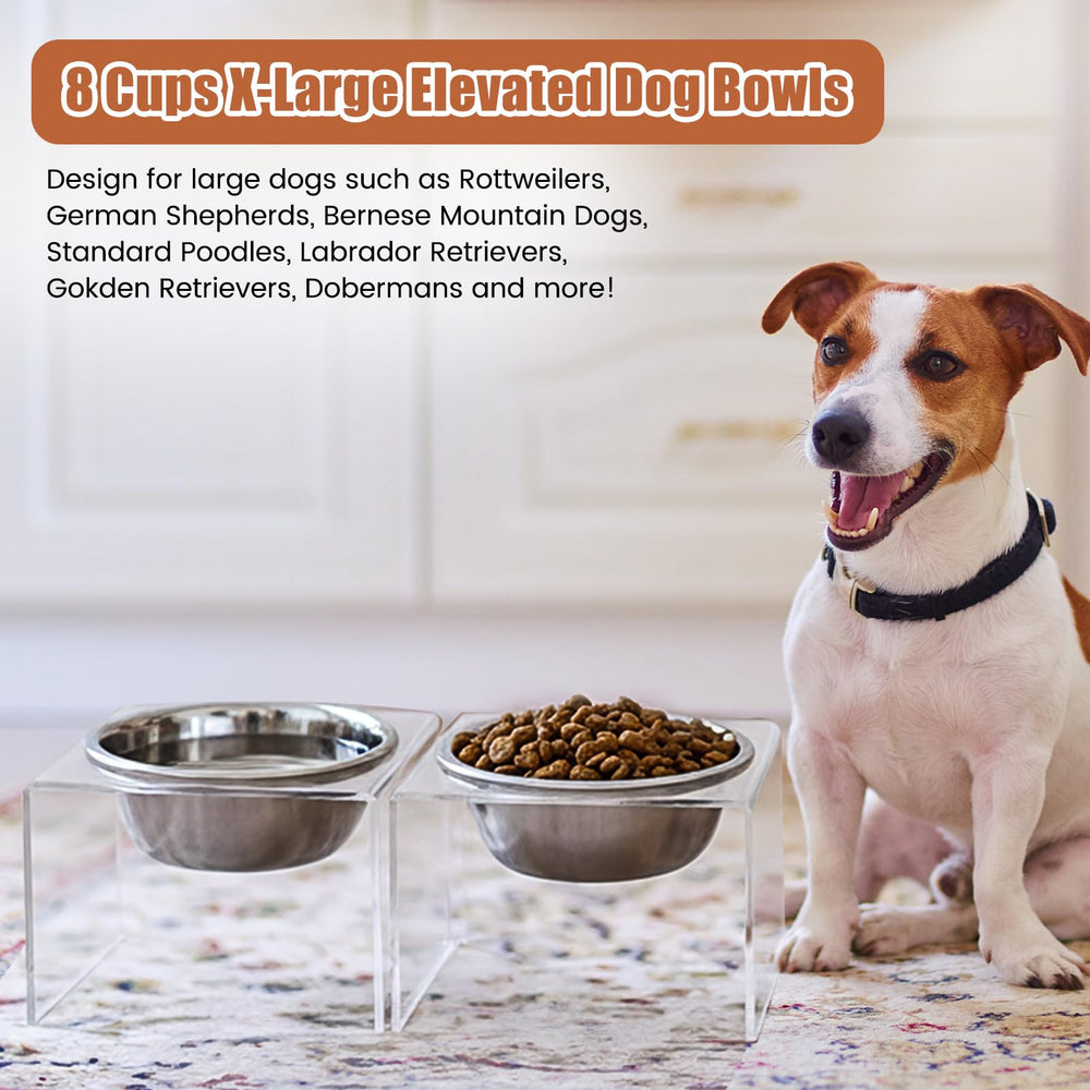 Ziliny acrylic stand at 6.3 inches promotes comfortable eating posture.