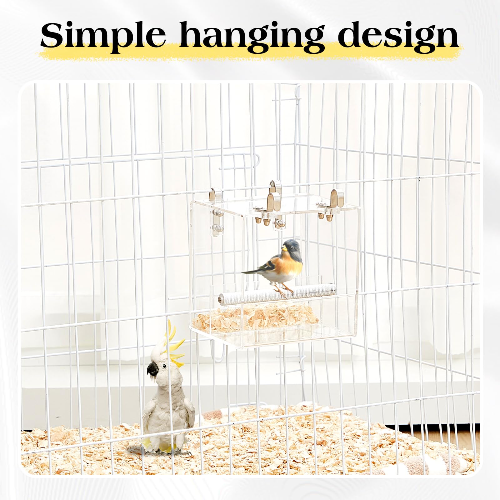 Ziliny secure non-slip stand keeps birds safely positioned during feeding.